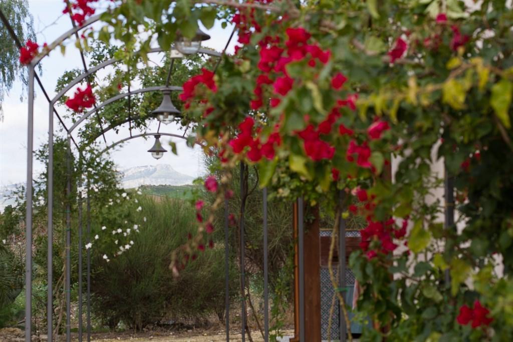 Agriturismo Baglio Donna Santa Dattilo Luaran gambar